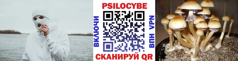 Псилоцибиновые грибы ЛСД  Зверево 